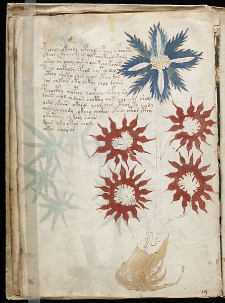 Page 32 of the Voynich manuscript, featuring floral illustrations.